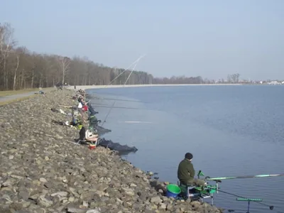 Mistrzostwa Koła 2013